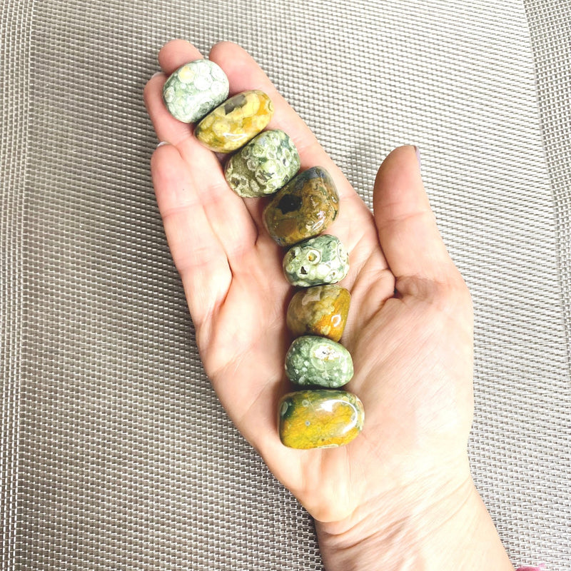 Rainforest Jasper Tumbled Stone - The Earth Connecting Stone