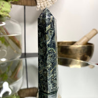 Rainforest Jasper (Kambaba) Point No  951