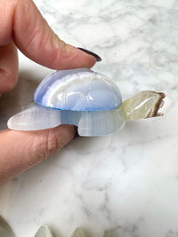 Blue Onyx Turtle