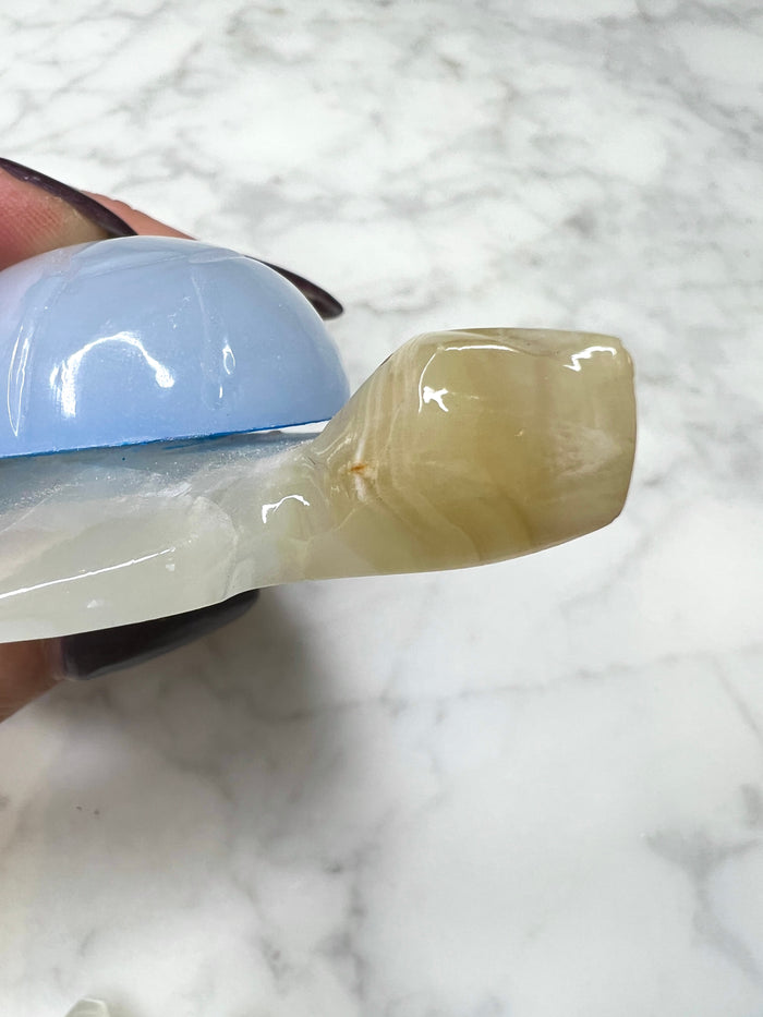 Blue Onyx Turtle