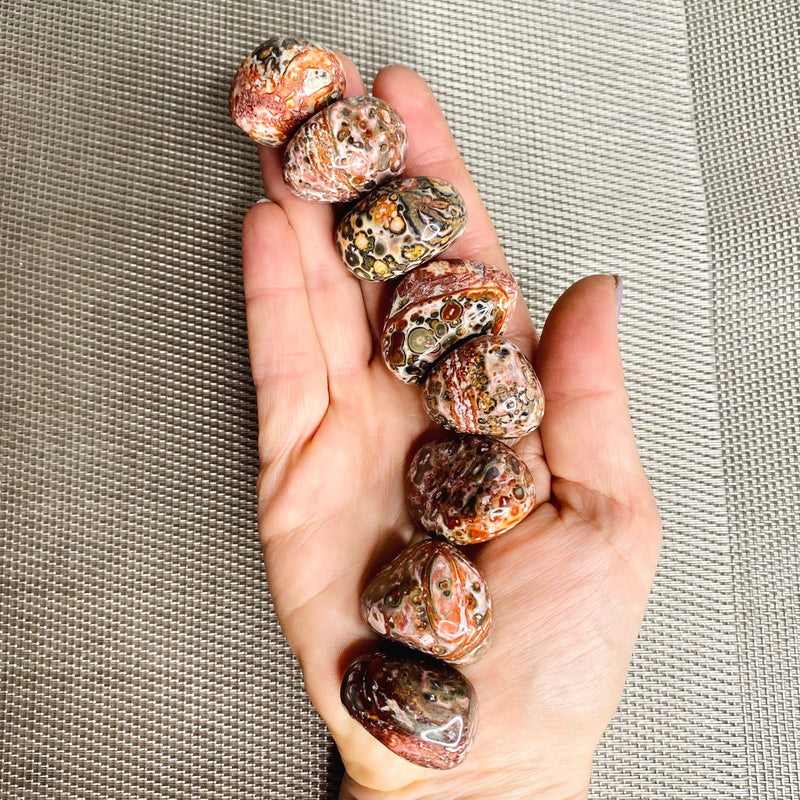 Leopard Skin Jasper Tumbled Stone