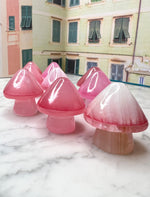 Red Onyx Mushroom - The Playfull Stone