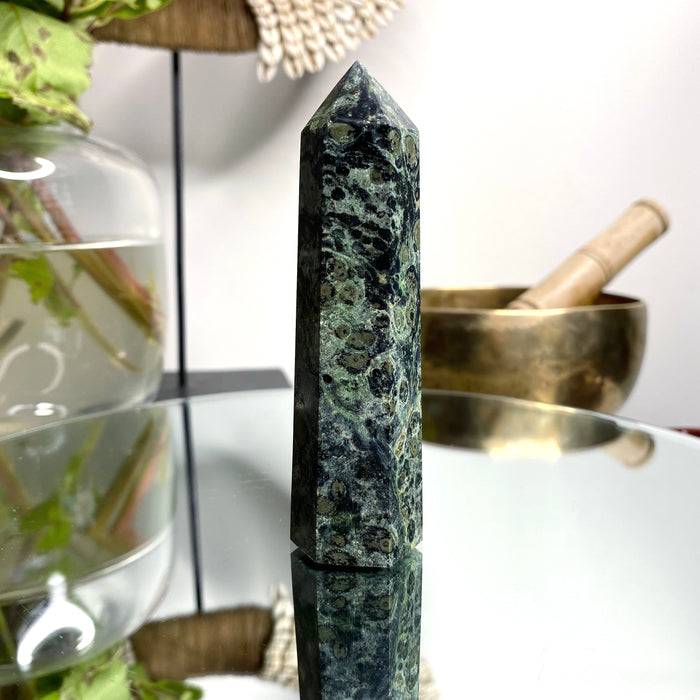 Rainforest Jasper (Kambaba) Point No  951